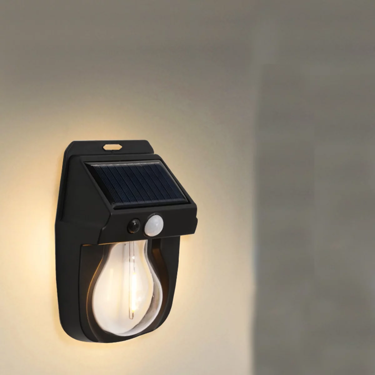 Motion Sensor Solar Light