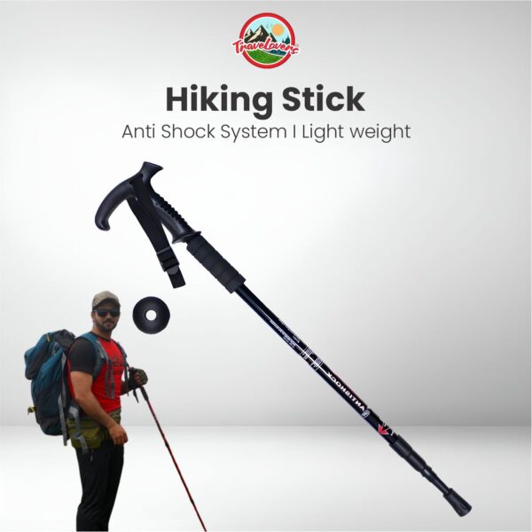 Hiking Stick